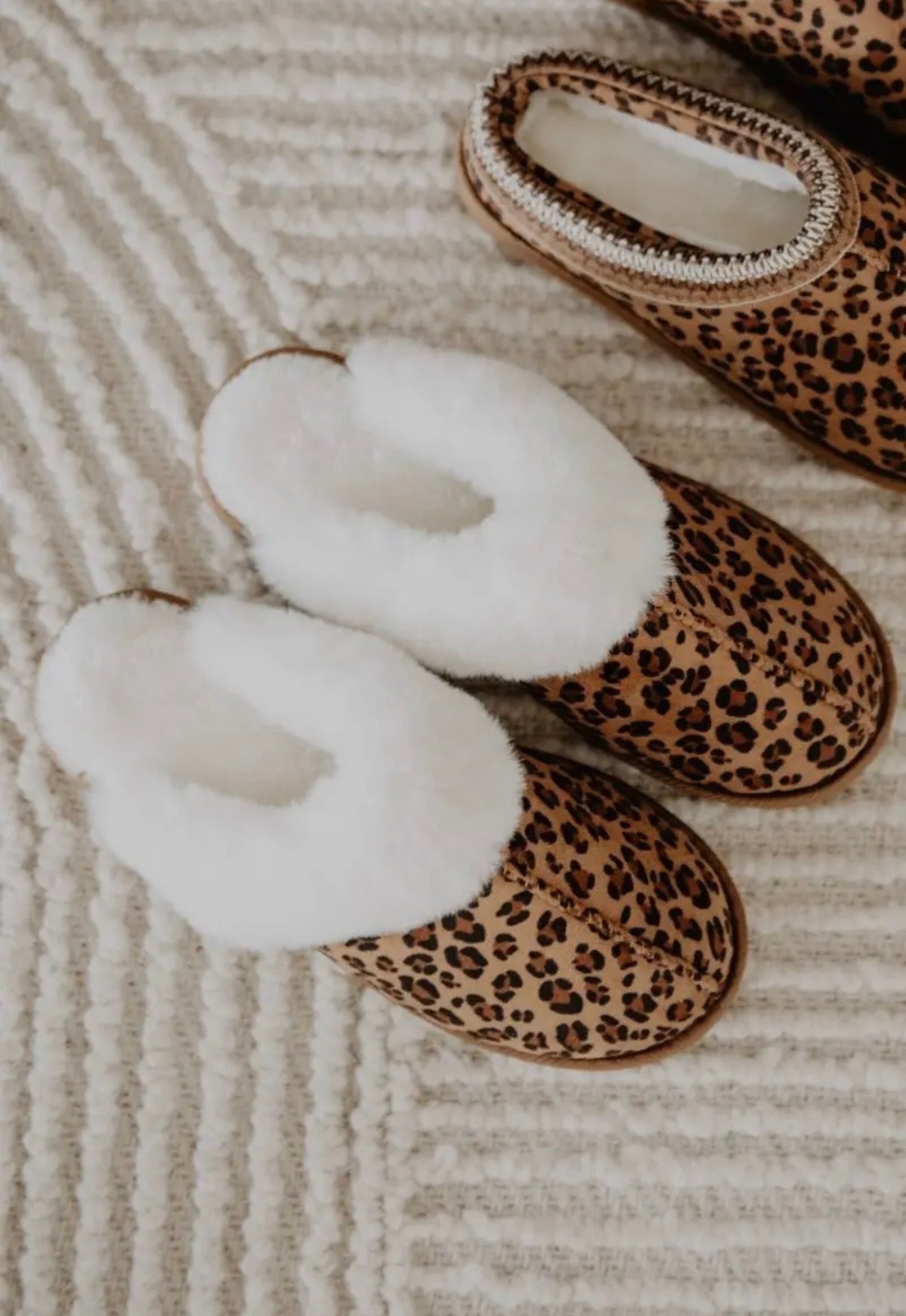 Lazy In Leopard House Shoes